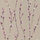 HSTO111468_Rel HSTO111472_zoom.jpg