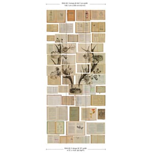 Tapet Biblioteka #2 Nlxl