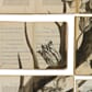 EKA-02_Rel 02_Crop_EKA_Sample_Sheets_Pagina_2_large.jpg