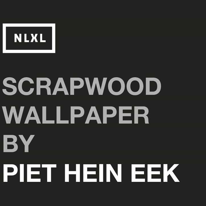 PHE-PRV 2013_02_Piet Hein Eek NLXL Logo.jpg